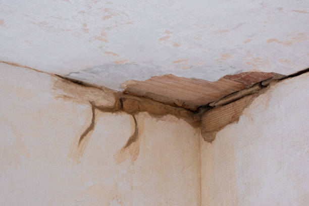 Carpet water damage restoration in Elverson, PA