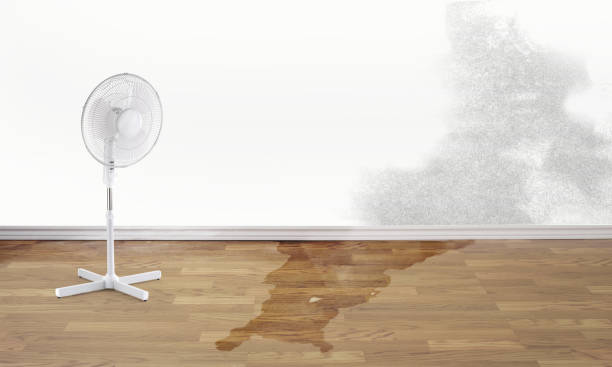 Professional Water damage restoration in Elverson, PA