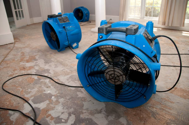 Best Mold removal after water damage  in Elverson, PA