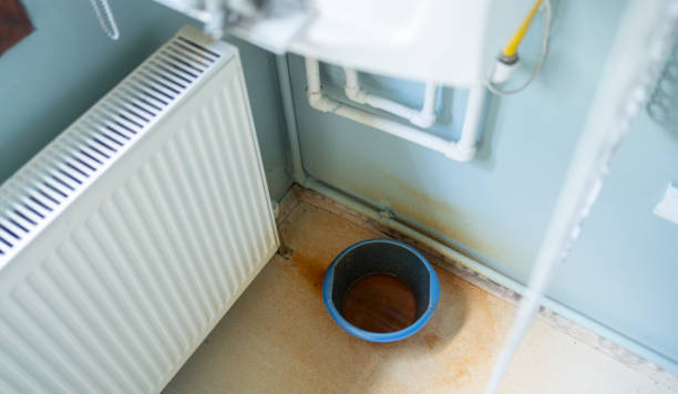 Best Flood damage cleanup  in Elverson, PA